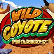image wild coyote